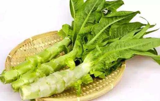 �˽�ʳ�����С��ʶ ���������������ȫ