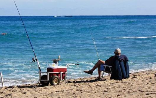 �ļ����˶��������6�ֹ� ������θ�ٽ��³´�л