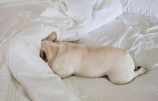 �𴲻��建��ʧ�� �ʵ�������ȴ���������彡��