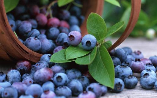 ����Ů�Է�˥�Ͽ�ɫ�ߵ�ˮ�� Ů��Ҫ����