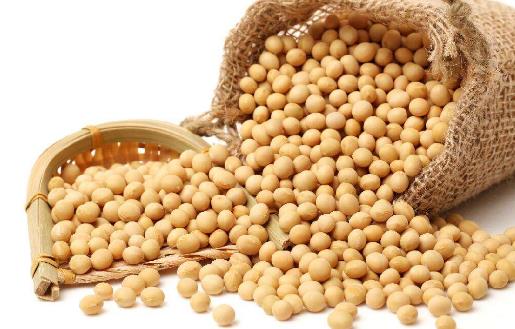 ƣ������û���������� ���־�������С����