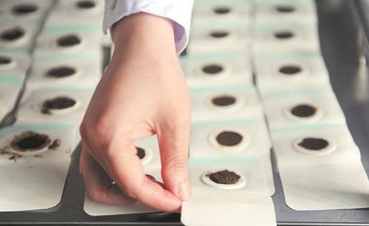 �������η��������� ��ѧ��������������