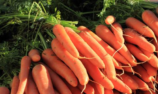 ��Щʳ�����Ŷ� ���Ŷ���6���ʳ��