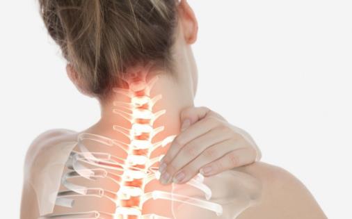 ��׵�����߲��� ������ľ�׵����