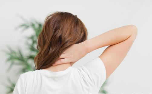 ��׵�����߲��� ������ľ�׵����