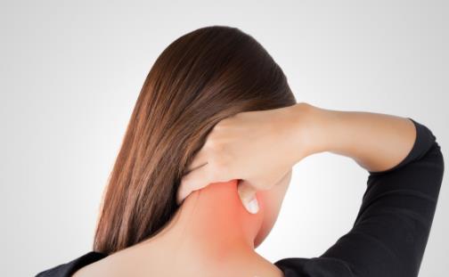 ��׵�����߲��� ������ľ�׵����