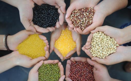 ���尩֢����αװ Ԥ�������⼸��