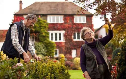 ���ݲ����������� ���µ�����������������������