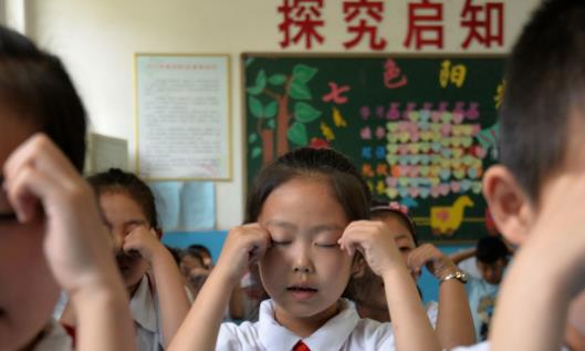 Ҷ���غͻ����ص����� ���������ܱ����۾���7��ʳ��