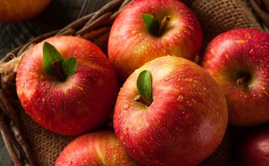 Ҷ���غͻ����ص����� ���������ܱ����۾���7��ʳ��