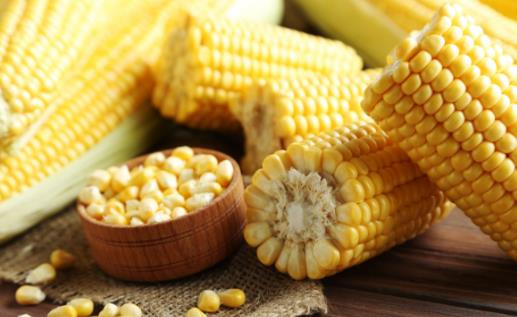 Ѫ��������ô�� �����߲˰���ͨѪ��