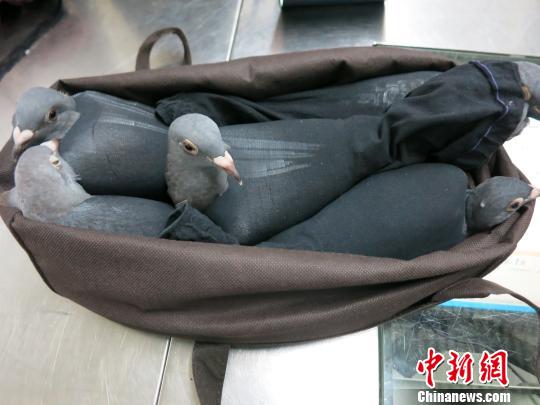 �����޺����ؽػ���˽���Ÿ��Ÿ뱻��˿���ס