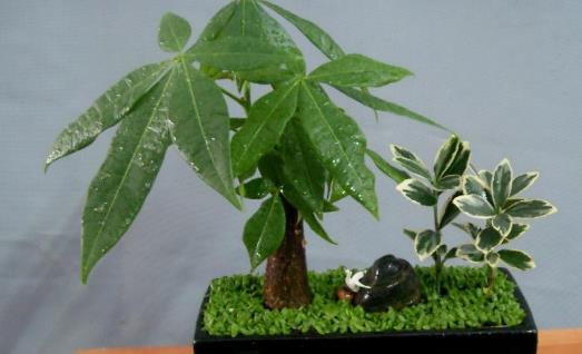 �Ż����潡�� �������˳��ٵĻ���