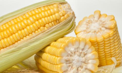 �����׼ӵ��� Ӫ����ζ������