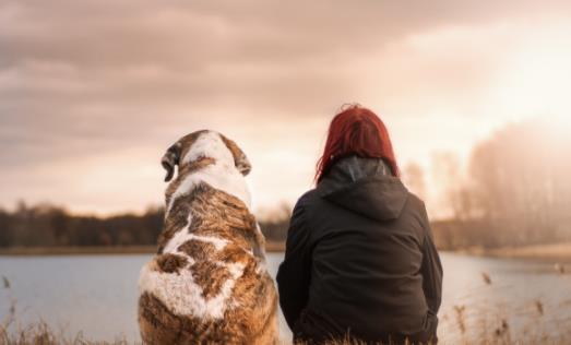 ����ڤ������潡�� �ܼ��������ѹ��