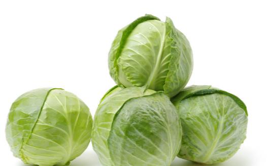 ��ѧ������ʳ������Ѫ�� Զ��Ѫ˨�����⼸��