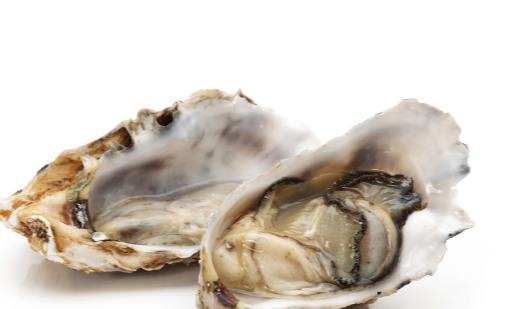 �������� �＾����Ӧ�����10��ʳ��