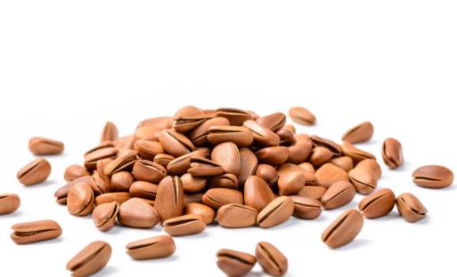 �������� �＾����Ӧ�����10��ʳ��