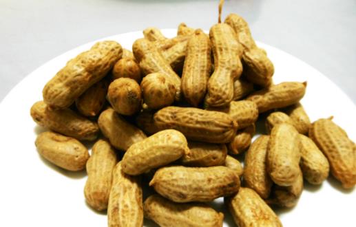 �������� �＾����Ӧ�����10��ʳ��