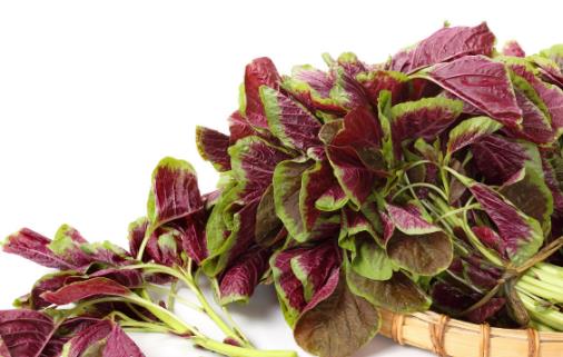 �ʺϸ�Ѫѹ���ߵ�ʳ�� ��Ѫѹ��ע������