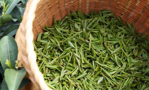 ���ں��̲�ĺô� ������������Ѫ�ܼ���