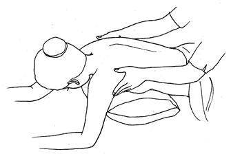 ̩ʽ��Ħԭ������������