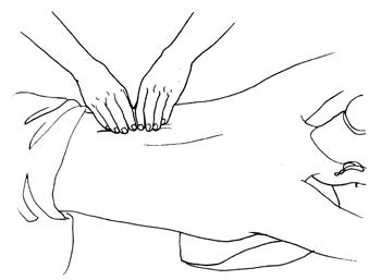 ̩ʽ��Ħԭ������������