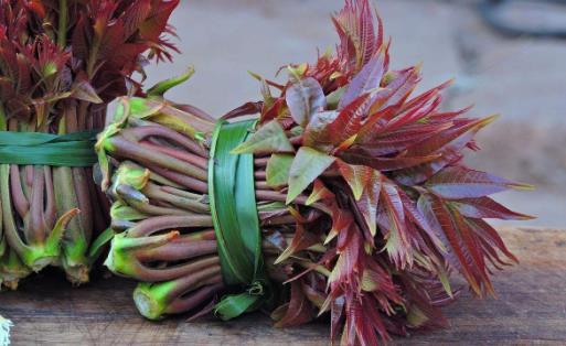 �������� ���˿��Ȼ�����ʮ��ʳ��Ŷ