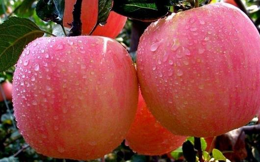 ��ҹ�Խ�������˺� ���ʺϰ�ҹһ�������ʳ��