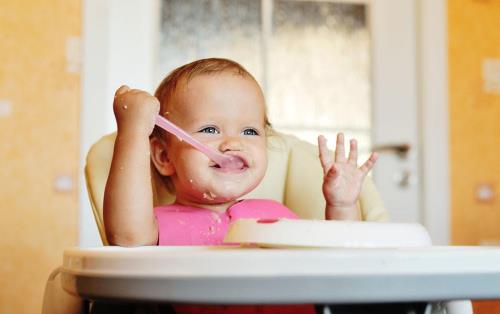 ���ӿ���ֻ���߲˲�������