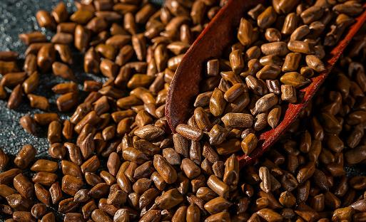 ������ֻ����װ��ͷ̫��ϧ �����ӵ�ʳ�÷���