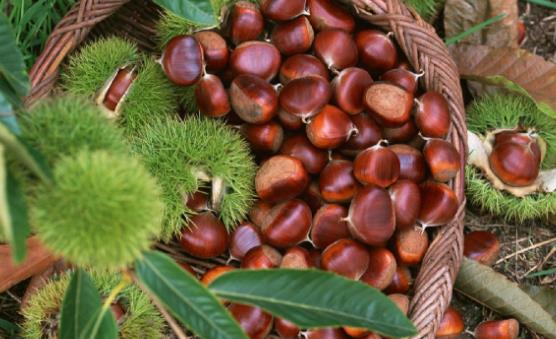 ��ͷ�ǳ����������� �����ѡ����ע������