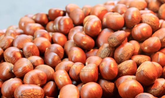 ��ͷ�ǳ����������� �����ѡ����ע������