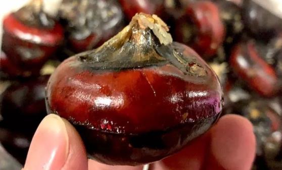 ݩ���е���ѩ������� �Ƽ�����Ӫ��ݩ��������