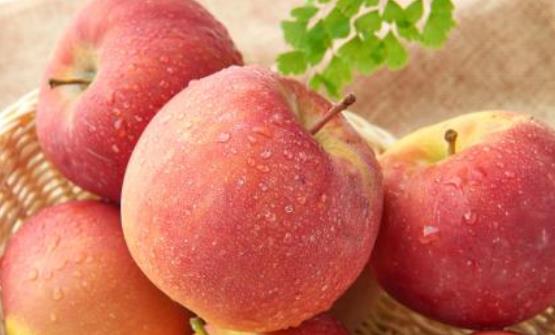 �ʺ��и�����Ե�ˮ�� ��ˮ�����ױ����ԵĻ�ϰ��