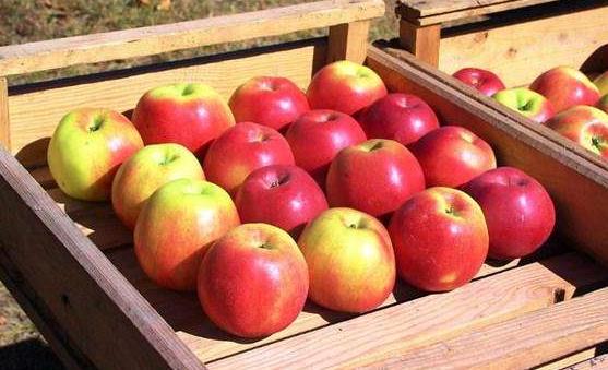 �и���ƻ��֮9���ô� ���ٺ��ӻ��������Ļ���