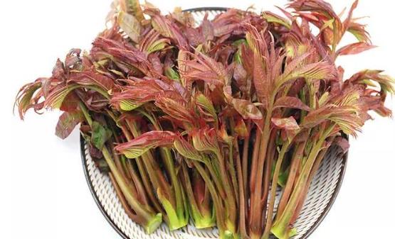 ����г�ʳ�㴻ѿ��Ⱦ��˵�� �и����㴻ע������