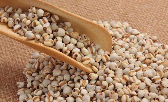 �ʺ�׼����Ĺ������ �и����������ע������