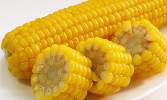 �ʺ�׼����Ĺ������ �и����������ע������