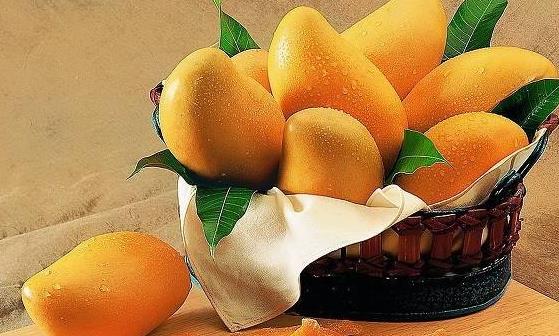 9��ˮ�������и��������Ч�� �������ڵĲ���֢״