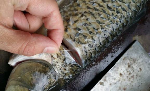 ����������ζ��ôȥ�� ����ô��û������ζ