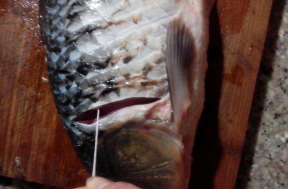 ����������ζ��ôȥ�� ����ô��û������ζ