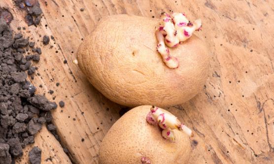 ���߲�Ҳ�еĽ��� �Դ��ͻ�Ҫ��