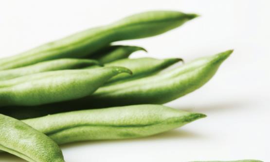 ���߲�Ҳ�еĽ��� �Դ��ͻ�Ҫ��