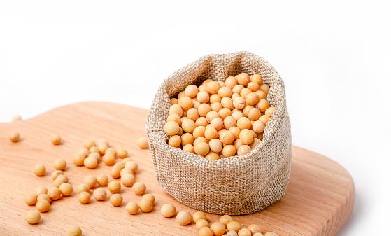 ���˺���������5��ʳ�� ͬʳ�п��������ж�