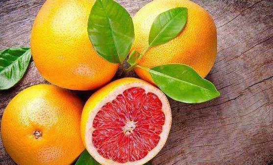 �˽����ӵ�ʳ�ü�ֵ ������������������ĳ�����