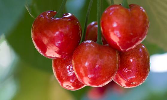 ӣ�ҵ�6��Ч������ ӣ�ҹ�Ч��õ���4����Ҫע��