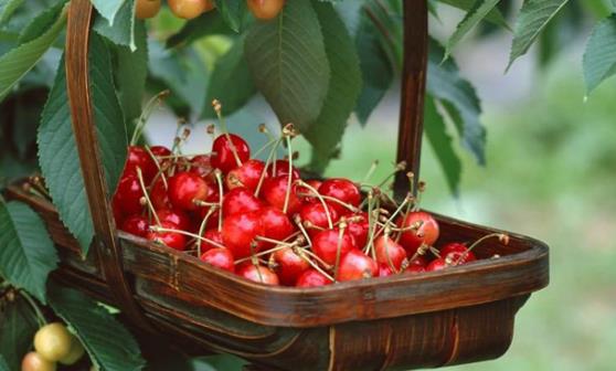 ӣ�ҵ�6��Ч������ ӣ�ҹ�Ч��õ���4����Ҫע��