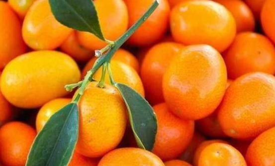 ��۵İ˴������빦Ч ��۵�ʳ�÷���