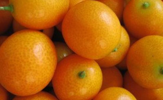 ��۵İ˴������빦Ч ��۵�ʳ�÷���